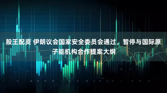 股王配资 伊朗议会国家安全委员会通过，暂停与国际原子能机构合作提案大纲