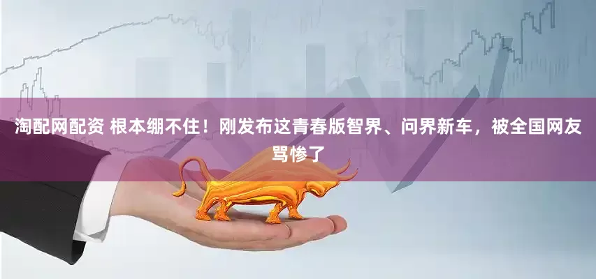 淘配网配资 根本绷不住！刚发布这青春版智界、问界新车，被全国网友骂惨了