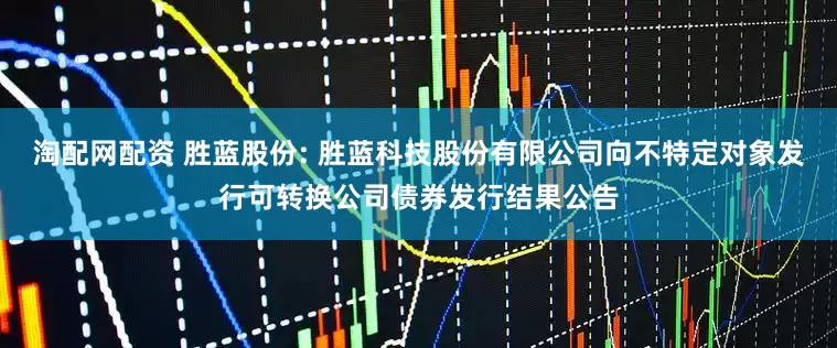 淘配网配资 胜蓝股份: 胜蓝科技股份有限公司向不特定对象发行可转换公司债券发行结果公告